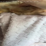 amaleaked.pk-Rosa-Musante-658