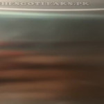 amaleaked.pk-Rosa-Musante-659