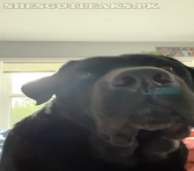 amaleaked.pk-Rosa-Musante-669.mp4