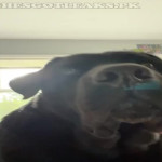 amaleaked.pk-Rosa-Musante-669