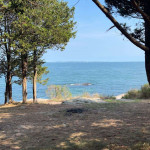 amaleaked.pk-Rosa-Musante-712