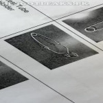 amaleaked.pk-Rosa-Musante-718