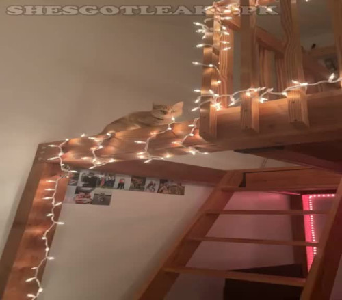 amaleaked.pk Rosa Musante 725