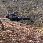 amaleaked.pk-Rosa-Musante-73