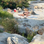 amaleaked.pk-Rosa-Musante-741