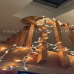 amaleaked.pk-Rosa-Musante-79