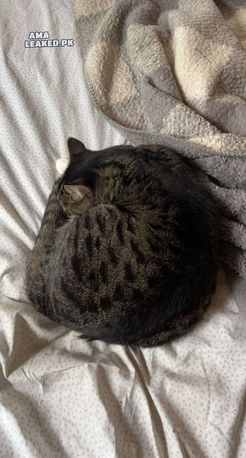 amaleaked.pk Rosa Musante 822