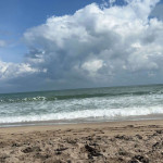 amaleaked.pk-Rosa-Musante-858