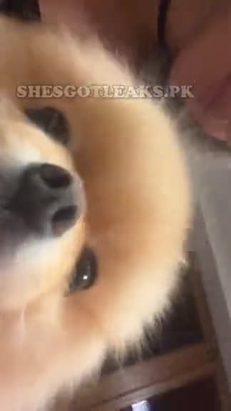 amaleaked.pk-Diana-Onyshko-416.mp4