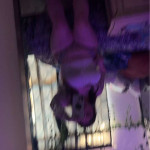 amaleaked.pk-Julia-Rose-Normoyle-125