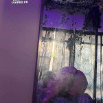 amaleaked.pk-Julia-Rose-Normoyle-168