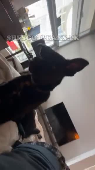 amaleaked.pk-Brylee-Loverde-68.mp4
