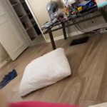 amaleaked.pk-RachelNicoleLee-349