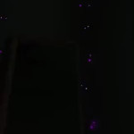 amaleaked.pk-LilyNgo-8