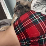 amaleaked.pk-EmilyFerguson-21